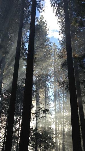 哈密瓜不能跟什么一起吃截图2